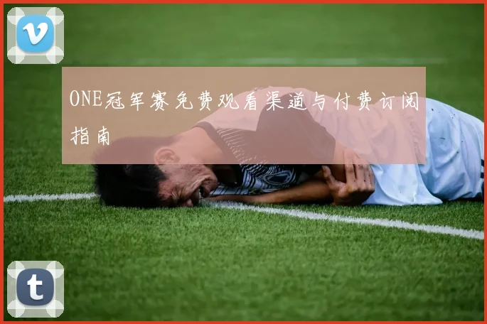 ONE冠军赛免费观看渠道与付费订阅指南