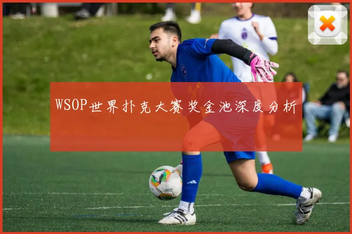 WSOP世界扑克大赛奖金池深度分析