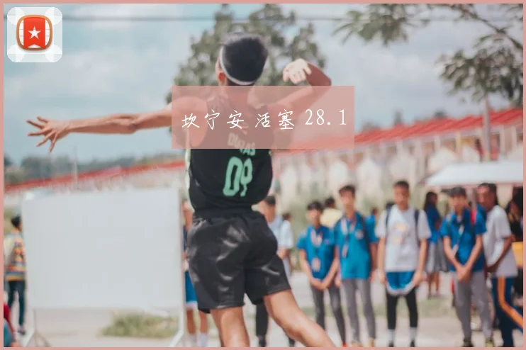 坎宁安 活塞 28.1